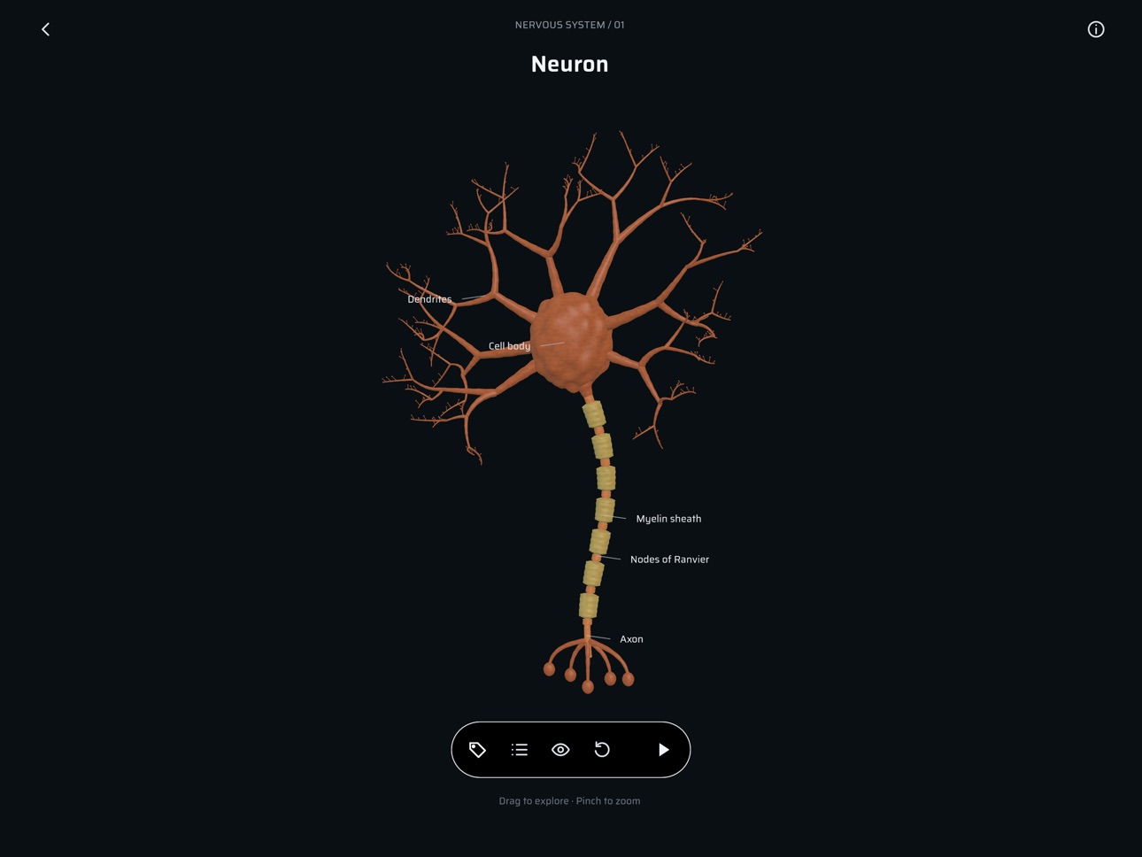 Screenshot 6 of Project Cell