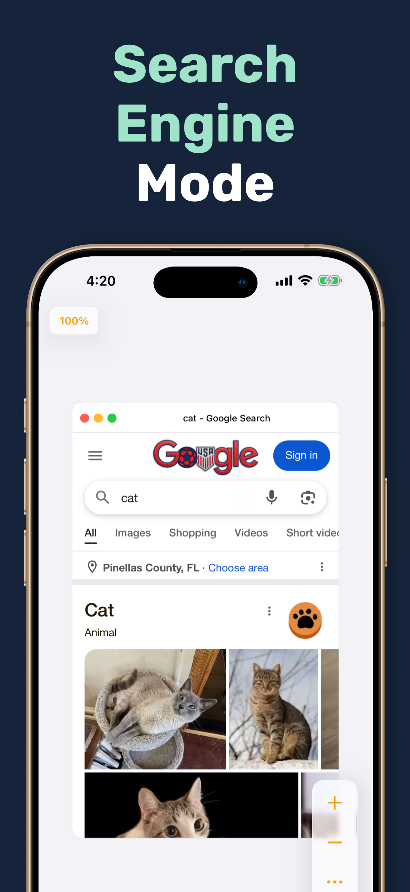 Web Canvas: Spatial Browser