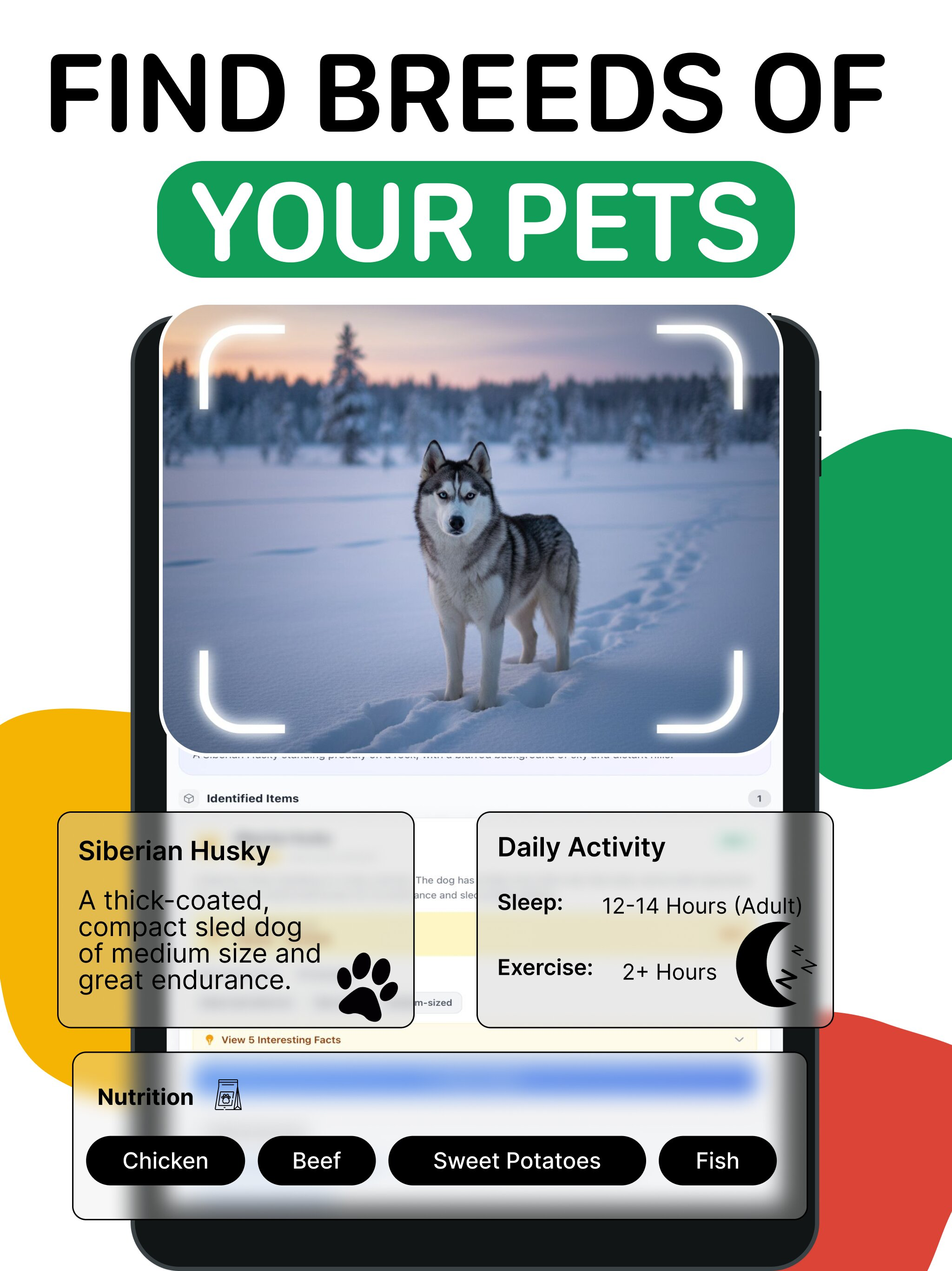 AI Lens: Reverse Image Search screenshot 7