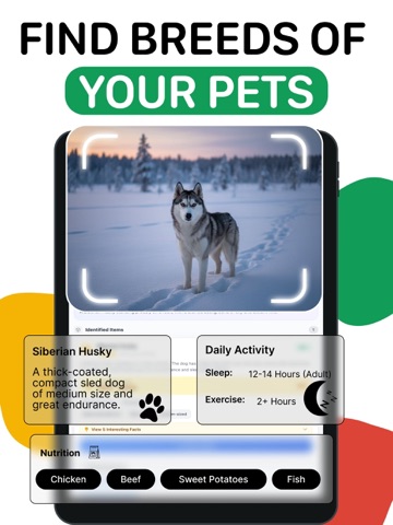 AI Lens: Reverse Image Search iPad screenshot