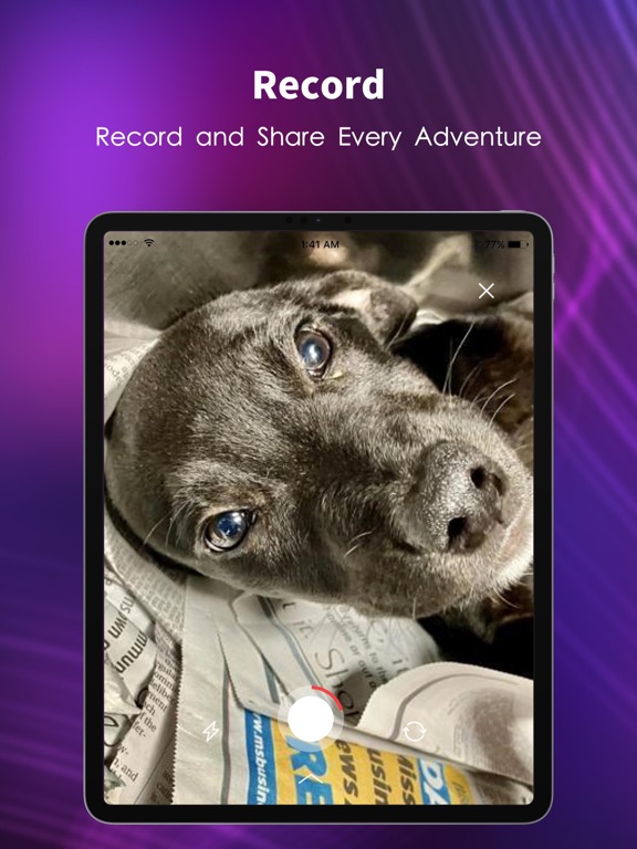 Screenshot #5 pour DoggoHub WooPlus Dog Video