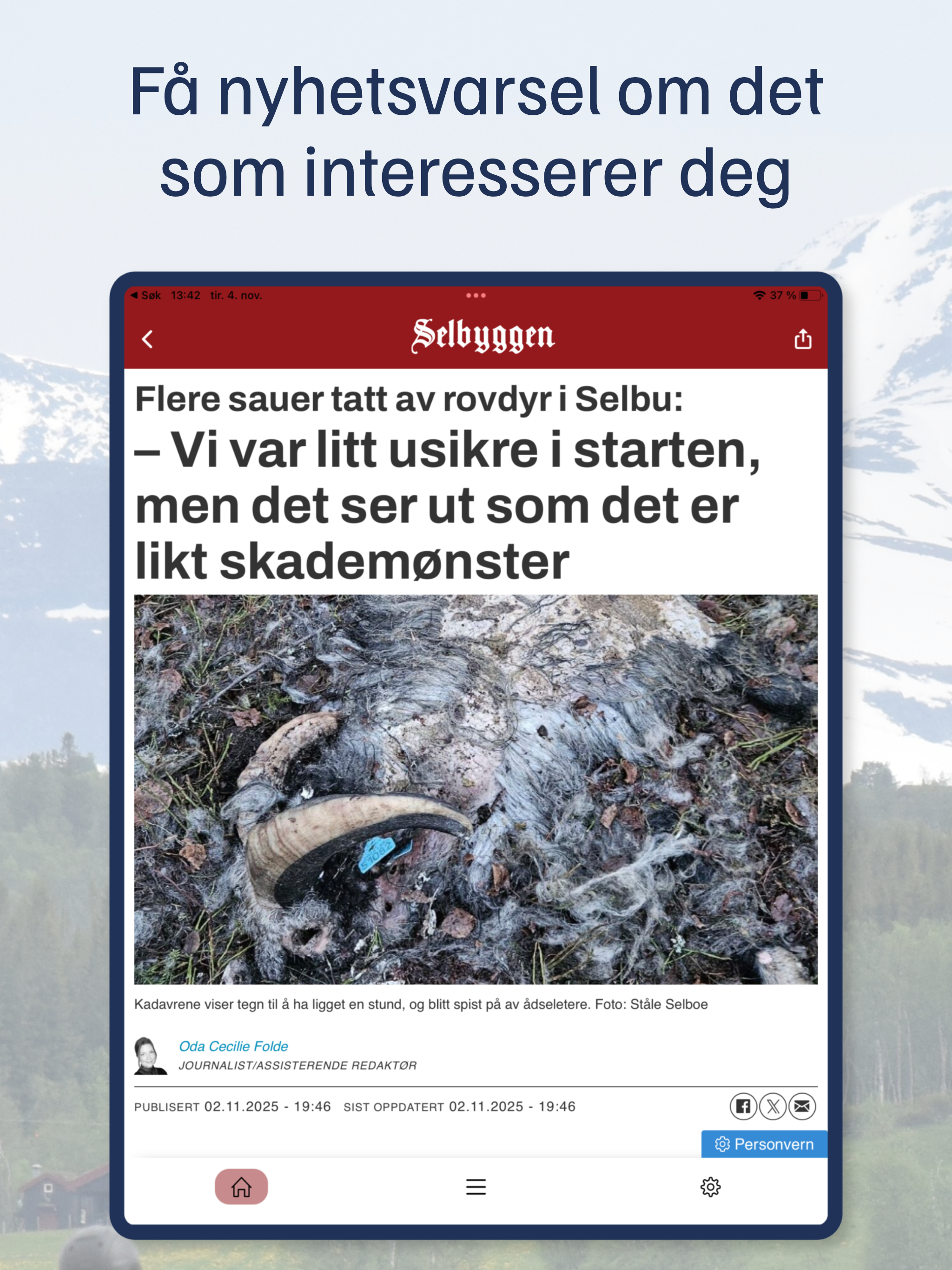 Selbyggen screenshot 8