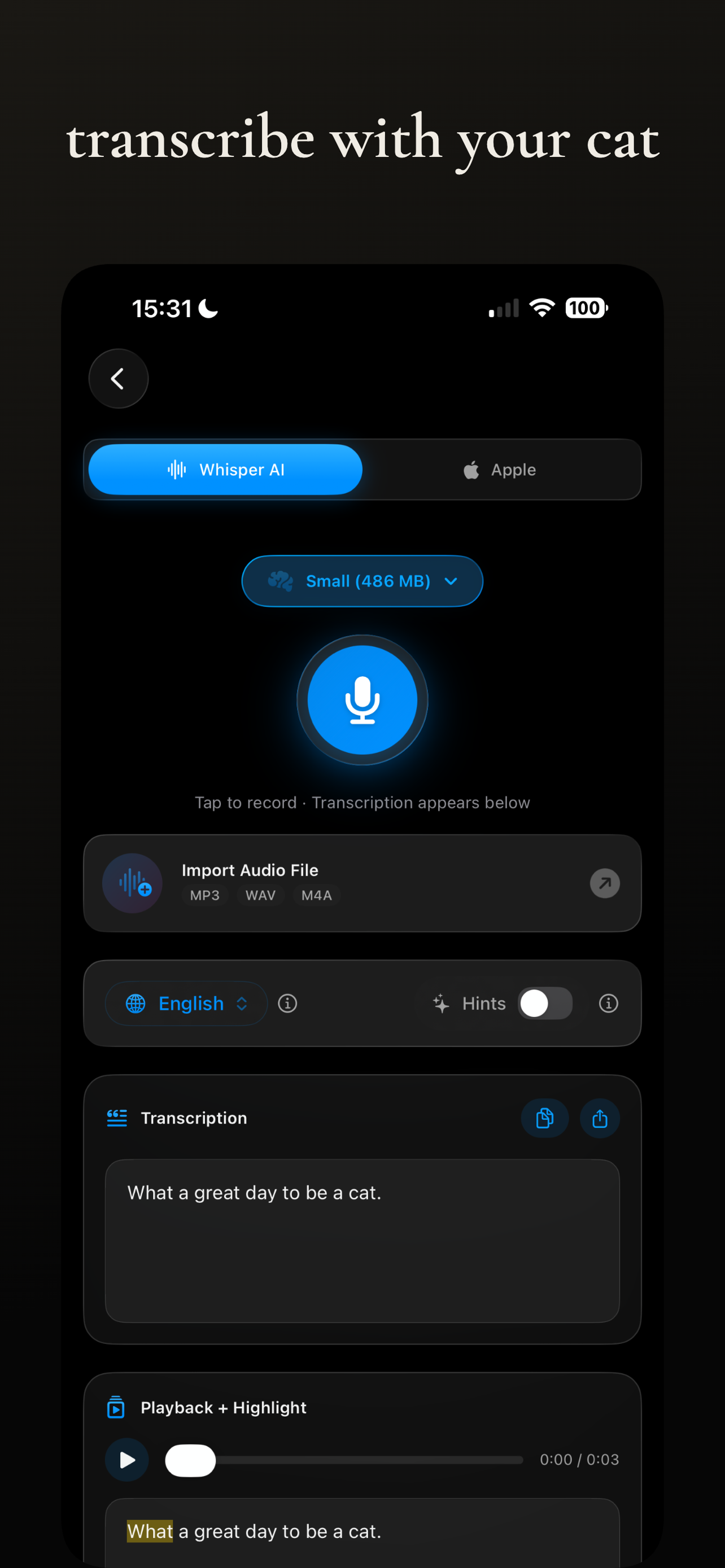 Local AI Chat screenshot 3