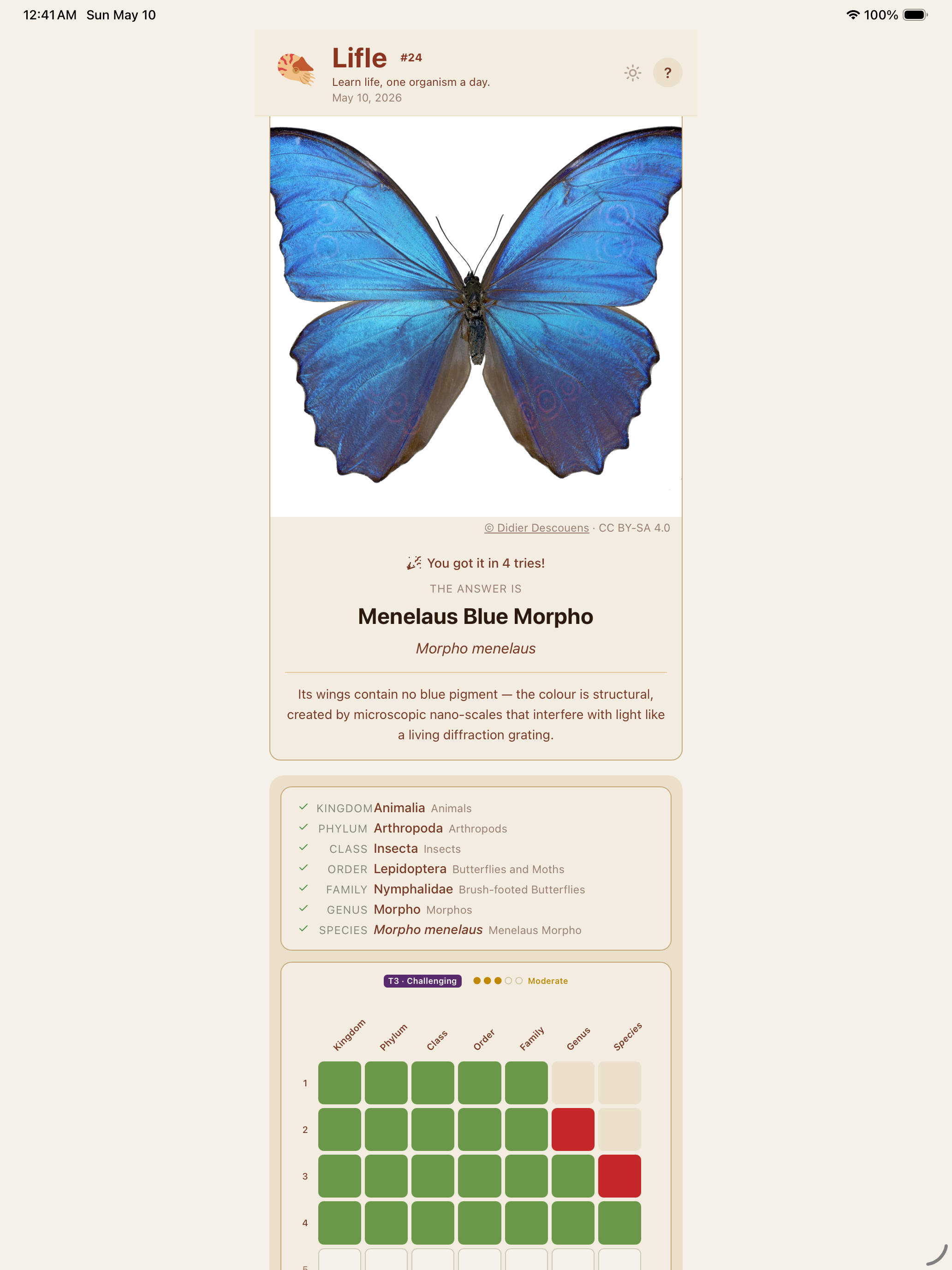 Lifle - Daily Nature Quiz