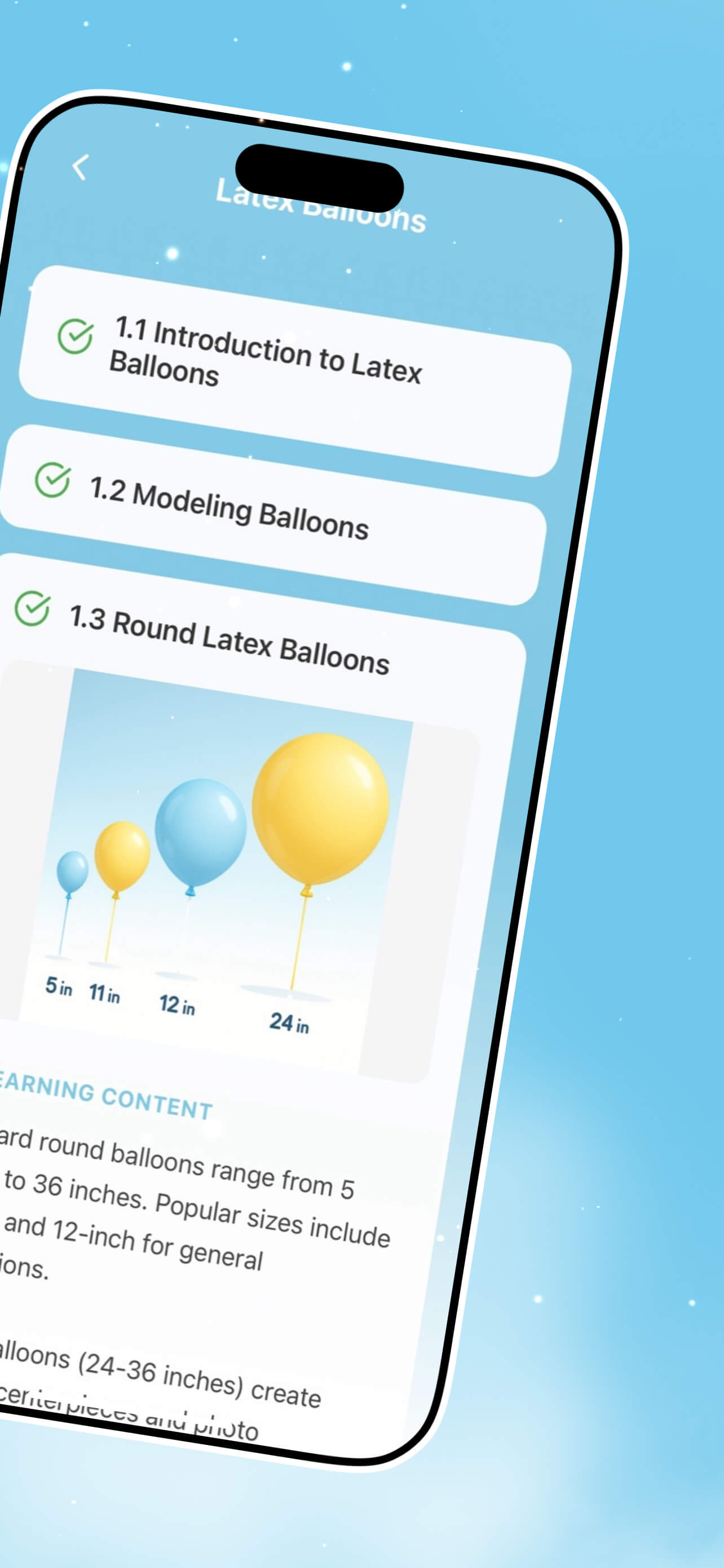 BalloonCraft:Art Basics screenshot 4