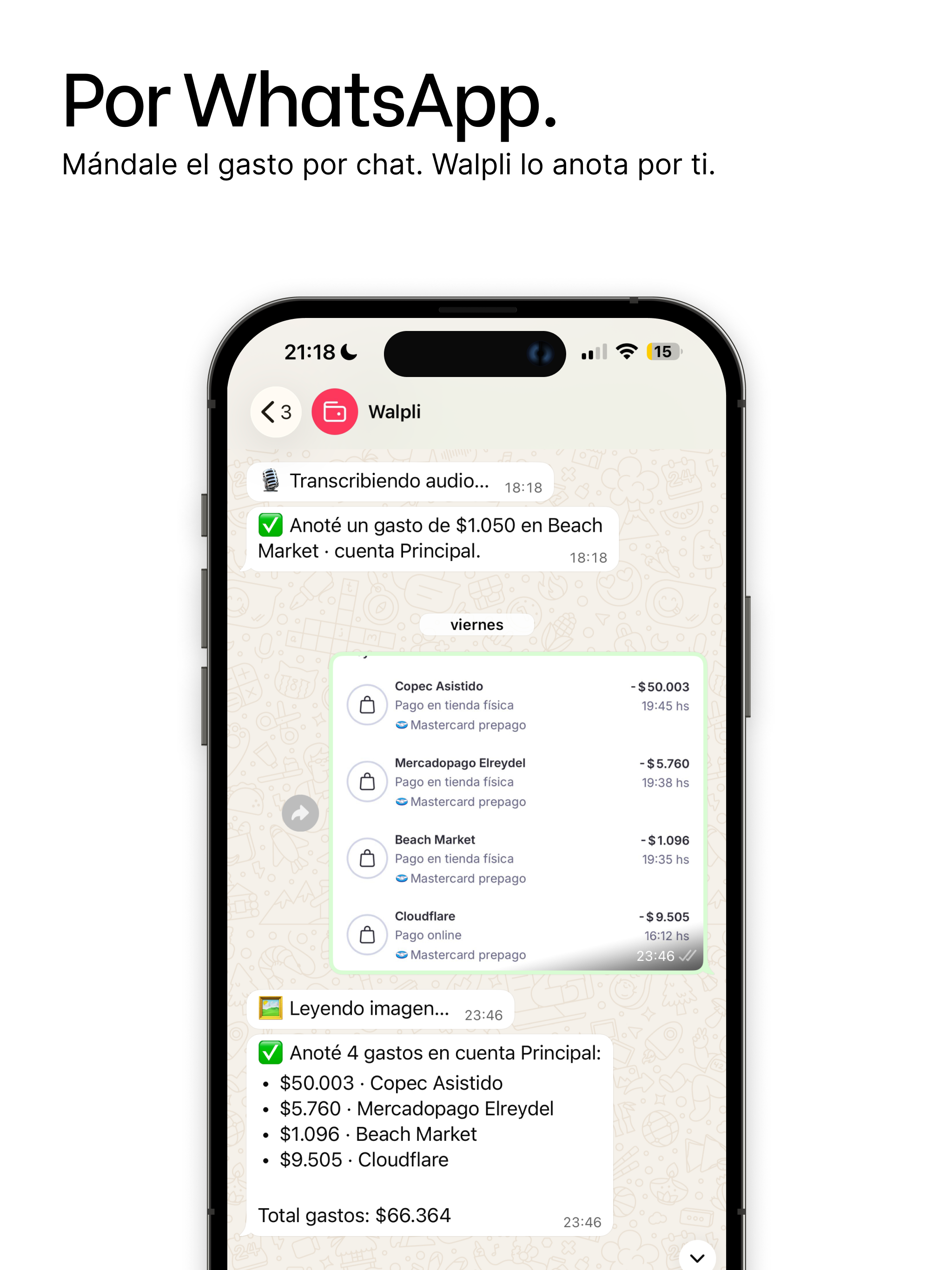 Walpli - Gastos y finanzas screenshot 11