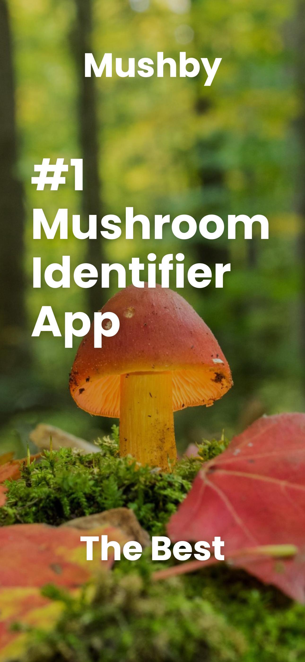 Mushroom Identifier - Mushby