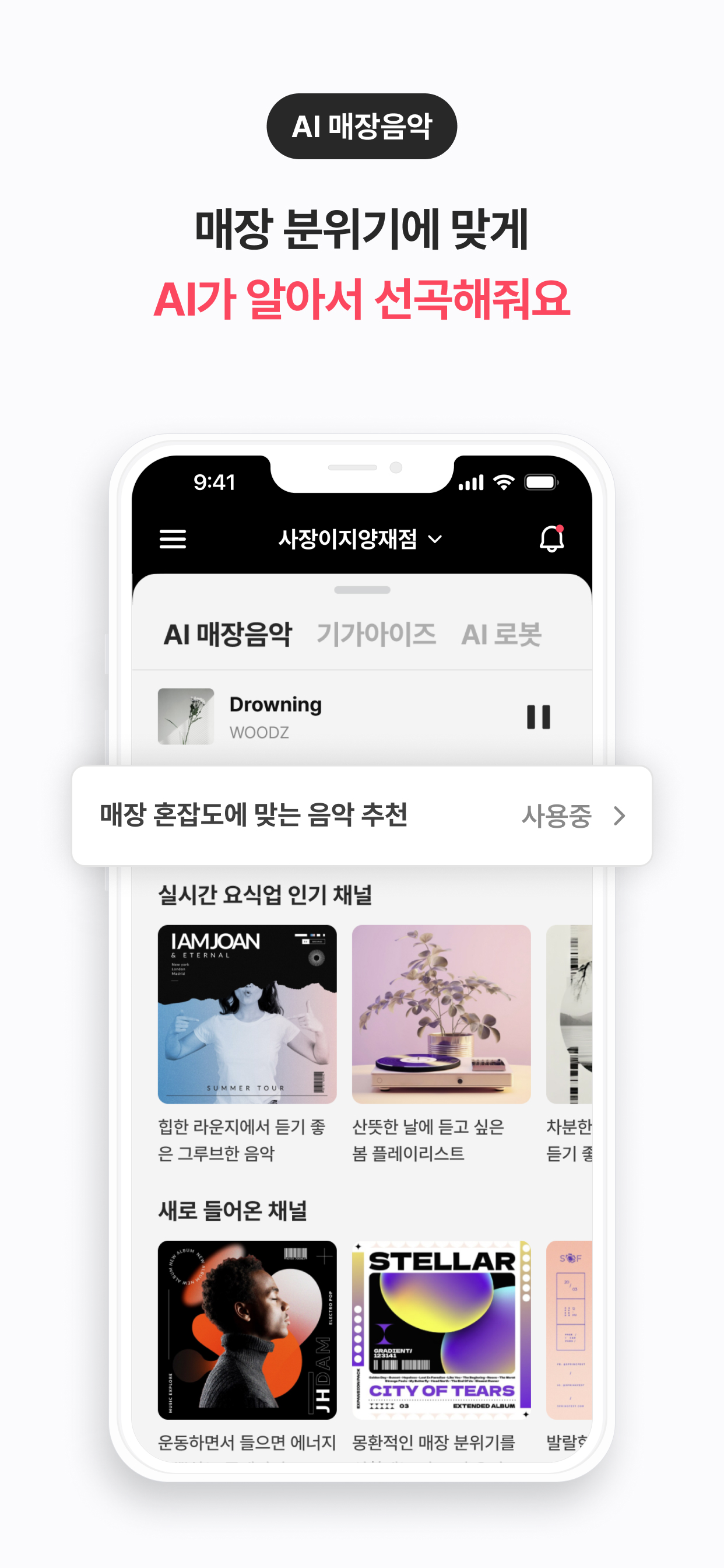 사장이지