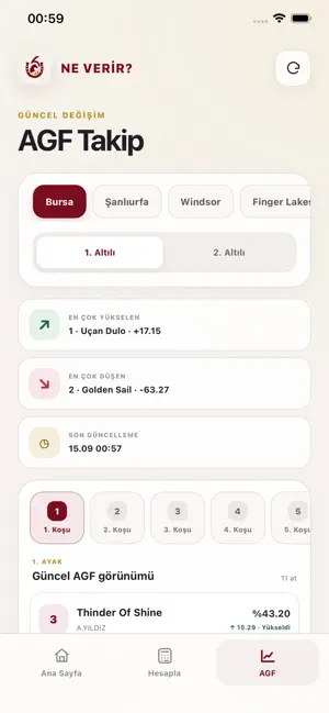 Ne Verir? İkramiye Hesapla screenshot 2