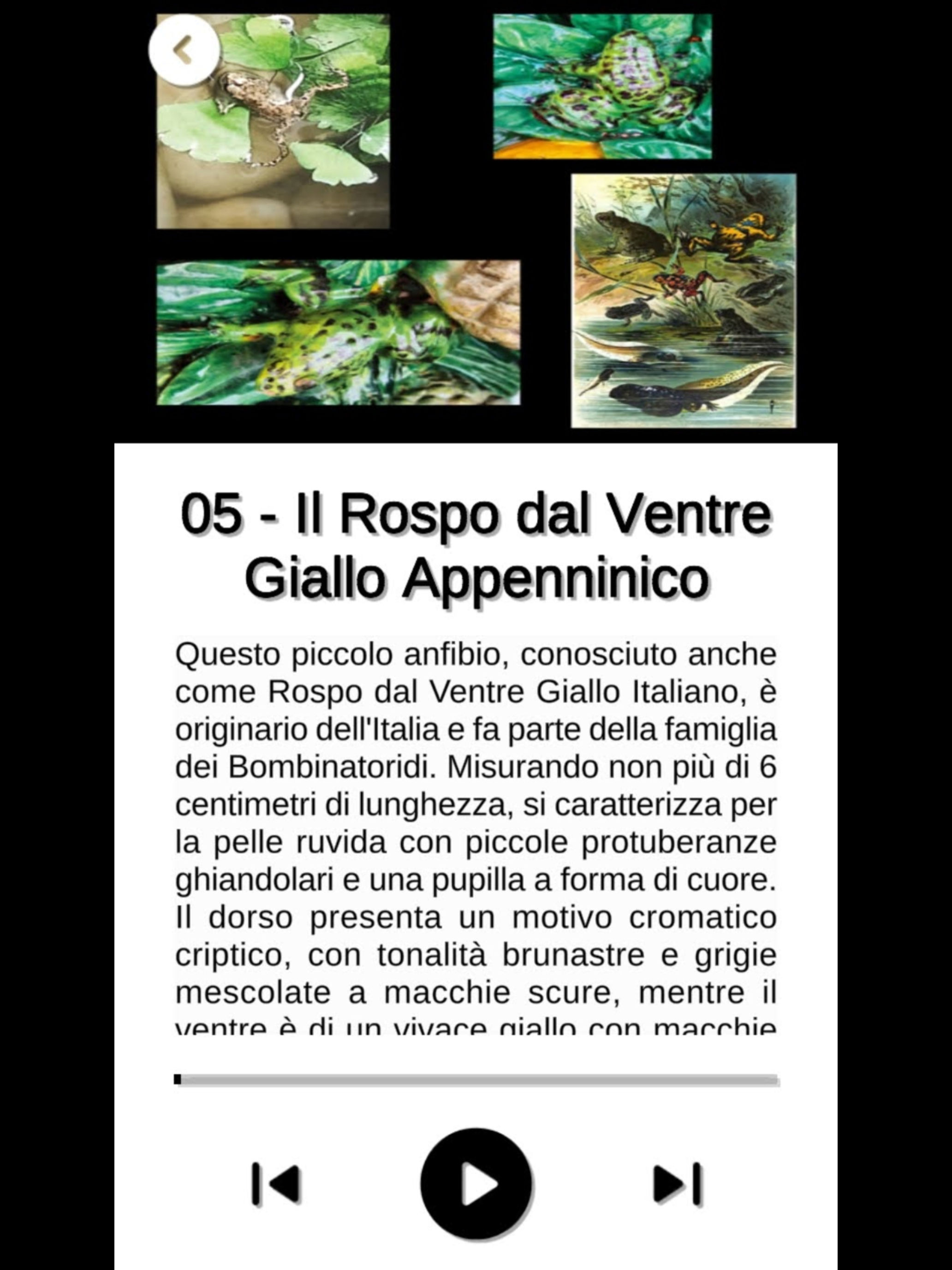Pistoia sotterranea AudioGuide screenshot 8