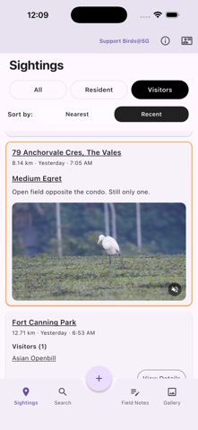 Birds@SG screenshot