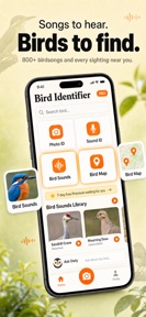 Bird Sound Identifier: Call ID screenshot