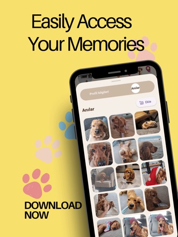 Firu Firu Dog Training iPad screenshot