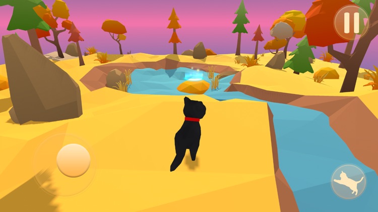 My Little Cat Lost In Big City