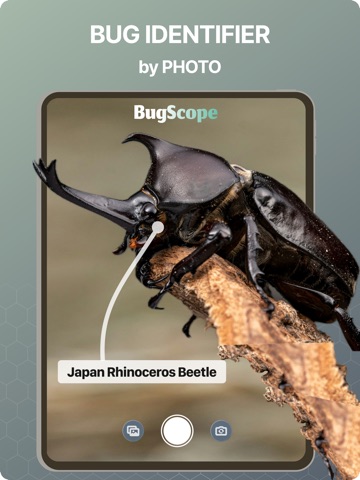 Bug Identifier - BugScope iPad screenshot
