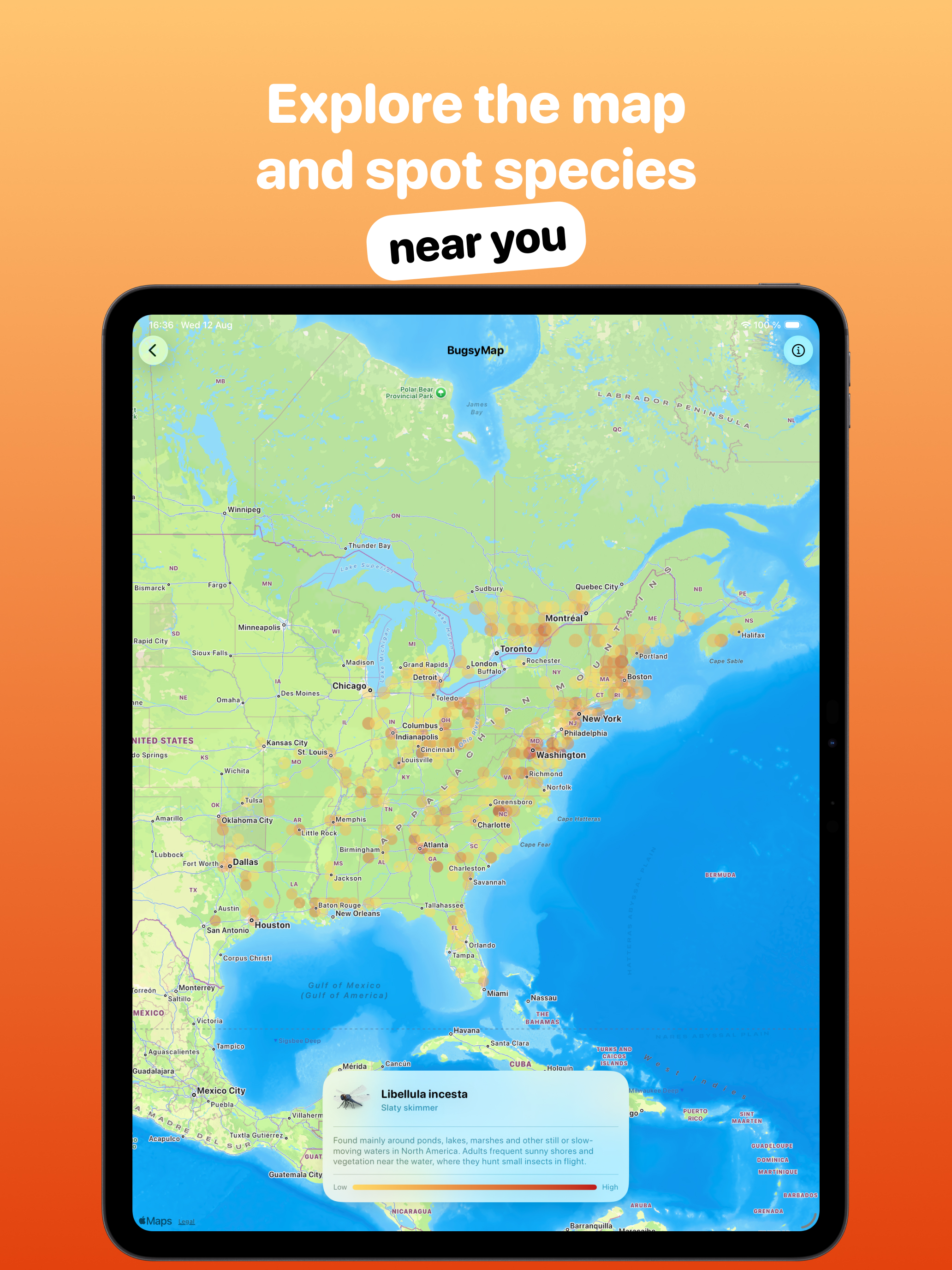 Bugsy – Insect Collection Quiz screenshot 10