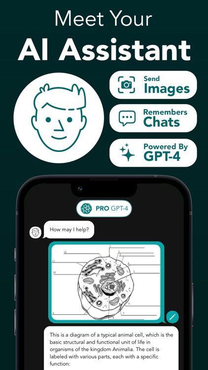 StudyAI - Web & Photo AI Tutor screenshot-4