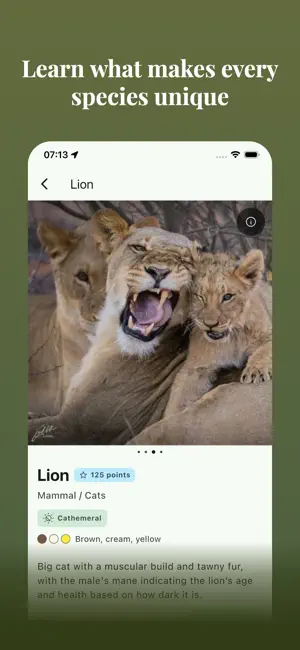 Bushwak: African safari guide screenshot 4