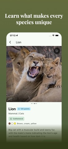 Bushwak: African safari guide screenshot