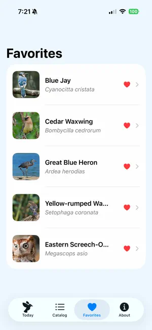 Daily Birdy screenshot 4