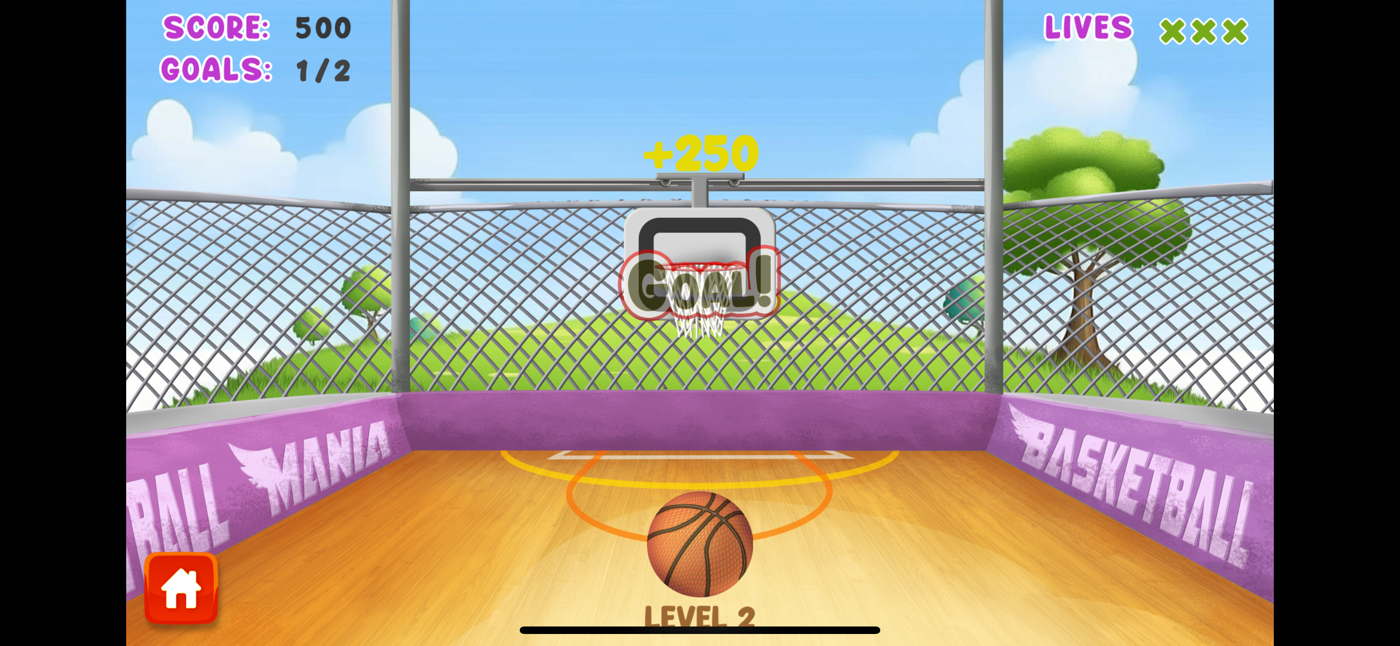 Basketball - Dunk Shot