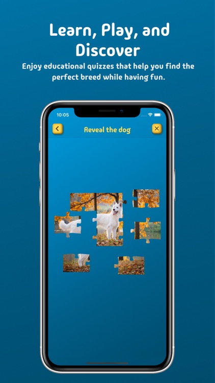 Dog Decision Compass screenshot-5