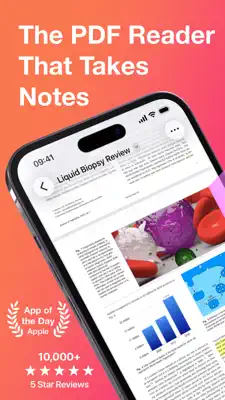 Amber: Snippets, Images, Docs 1