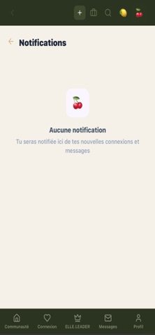 Elle.app screenshot