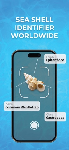 Sea Shell Identifier Finder screenshot