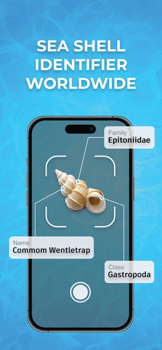 Sea Shell Identifier Finder Screenshot 1 of 5