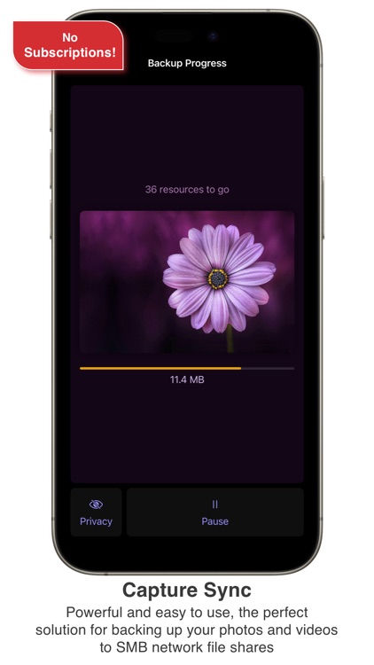 Capture Sync - Media Backups
