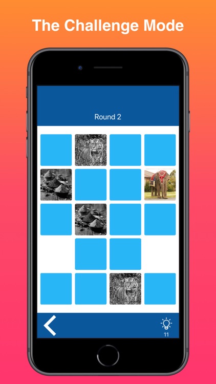 Memory Match : Brain Training screenshot-3