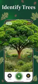 Tree Scanner 1