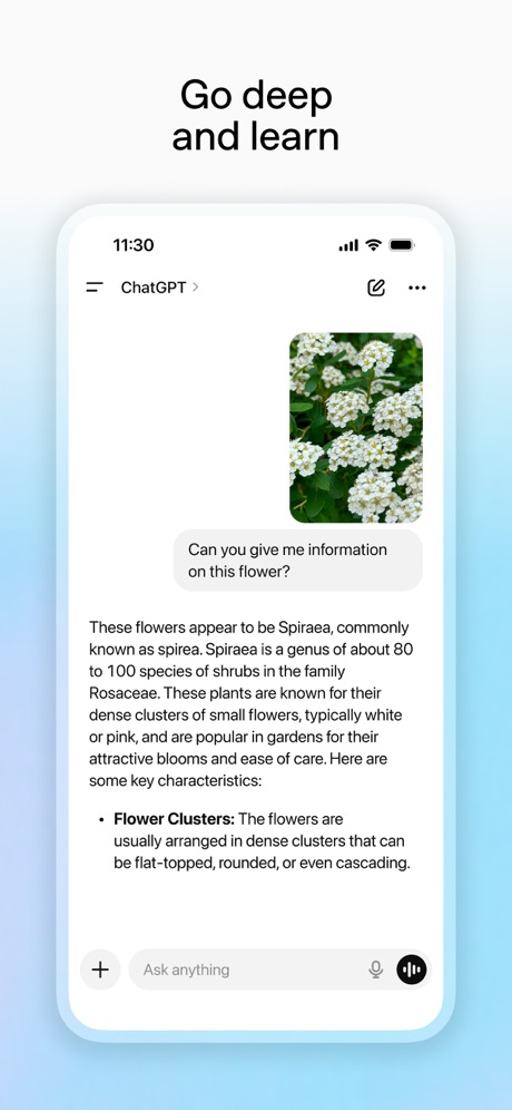 iPhone screenshot 6