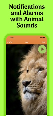 Animal Ringtones & Sounds iPhone screenshot