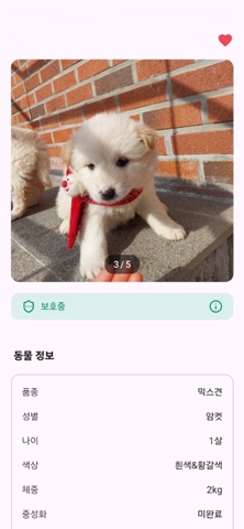 포옹 - 유기동물 조회 및 입양 screenshot