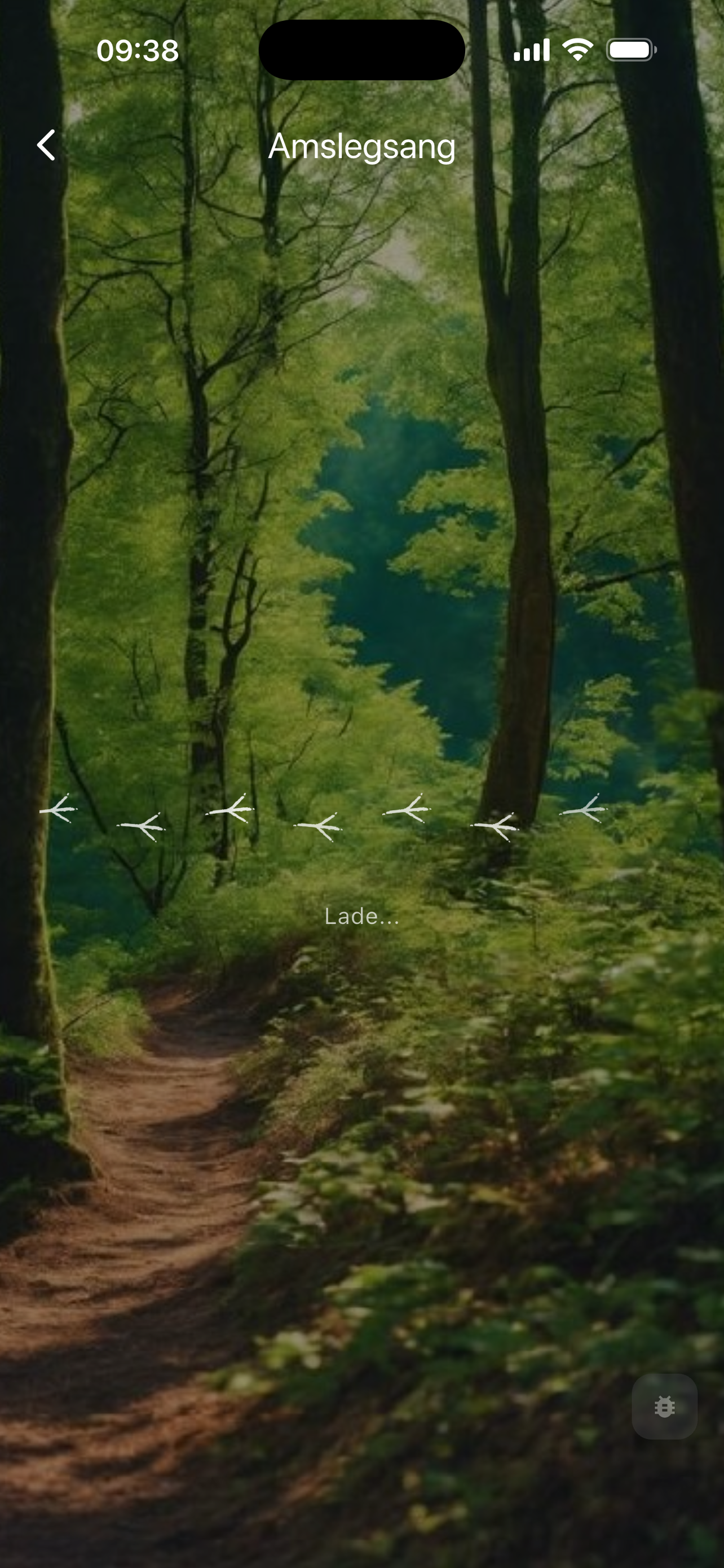 Amslegsang screenshot 6