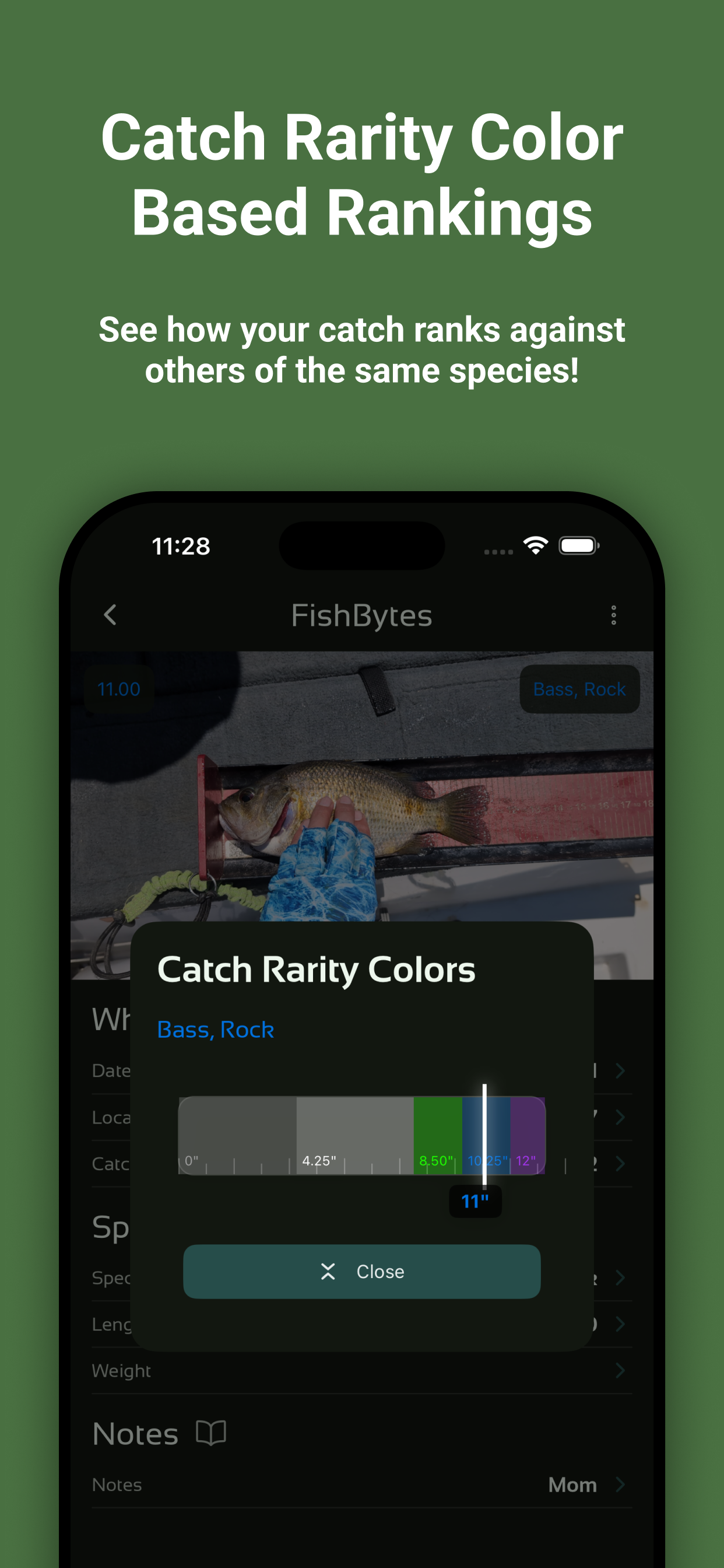 FishBytes - Your Fishing Log
