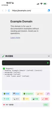 Agent Browser screenshot 2
