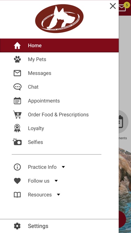 City Vet Hospital screenshot-4