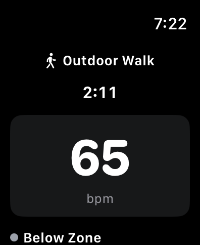 ZoneView: Heart Rate Zones screenshot 10