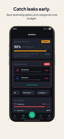 AI 记账助手 - Ginti screenshot