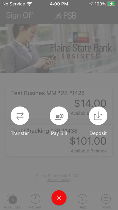 Plains State Bank Business Screenshot