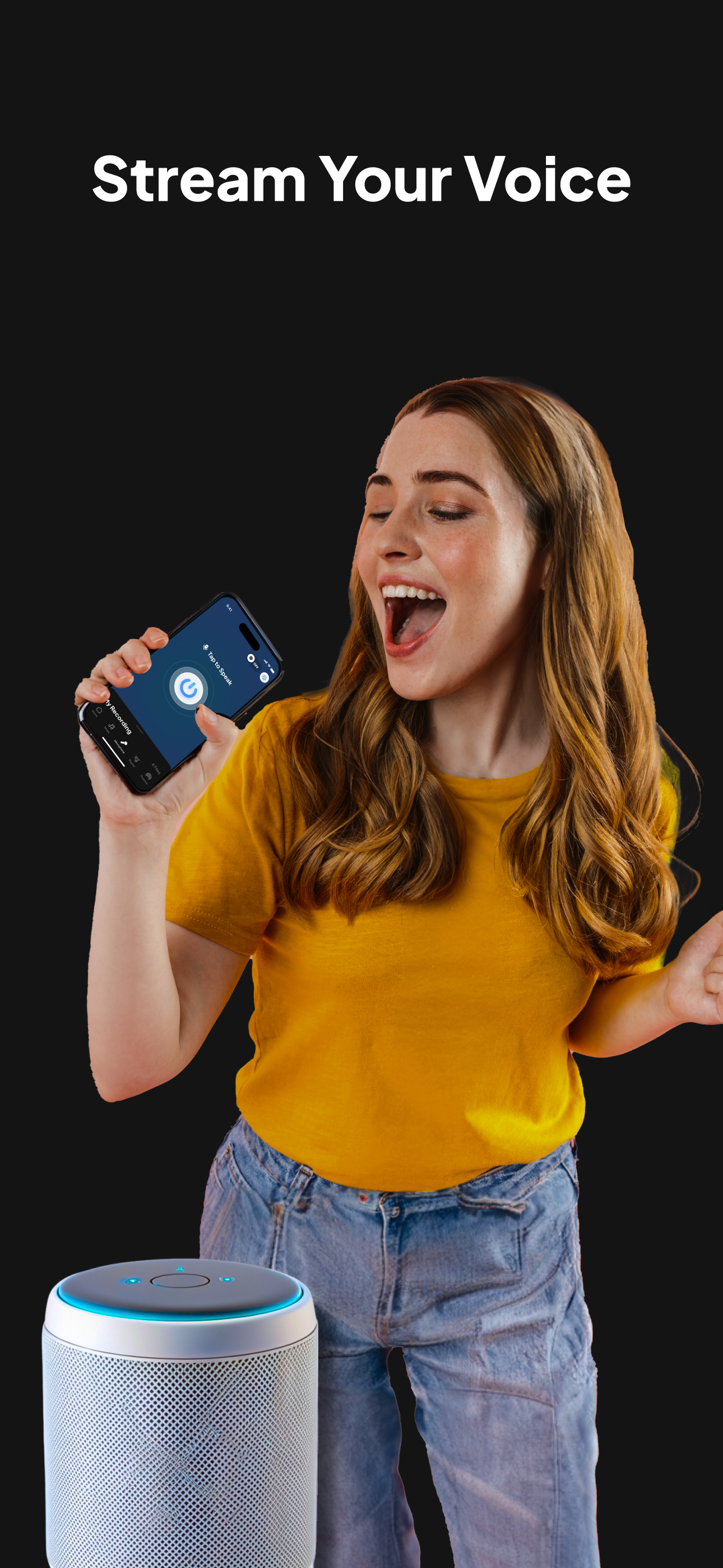 Speaker & Headphones Connect