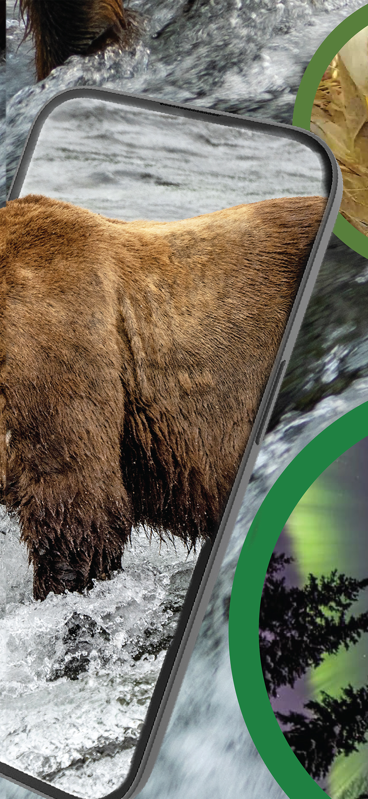 Explore.org: Live Animal Cams App Store screenshot