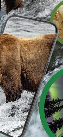 Explore.org: Live Animal Cams Screenshot 2 of 8