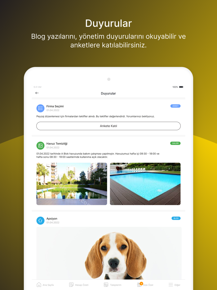 Kerem Nükte Yönetim
