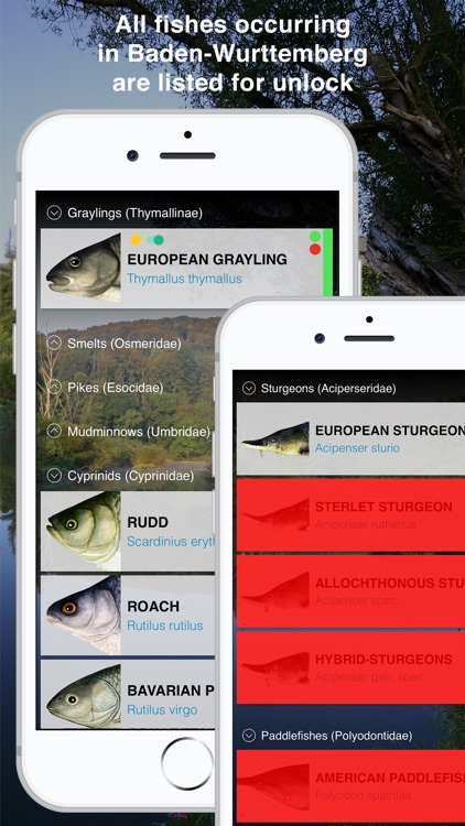 Fishguide Badenia-Wurttemberg