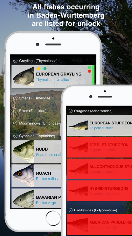#2. Fishguide Badenia-Wurttemberg (iOS) 由: Robin Schaefer