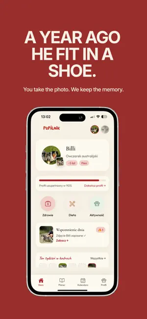 Pupilnik screenshot 2